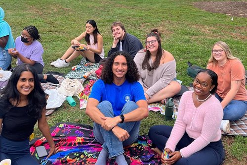 Students on the lawn having a picnic